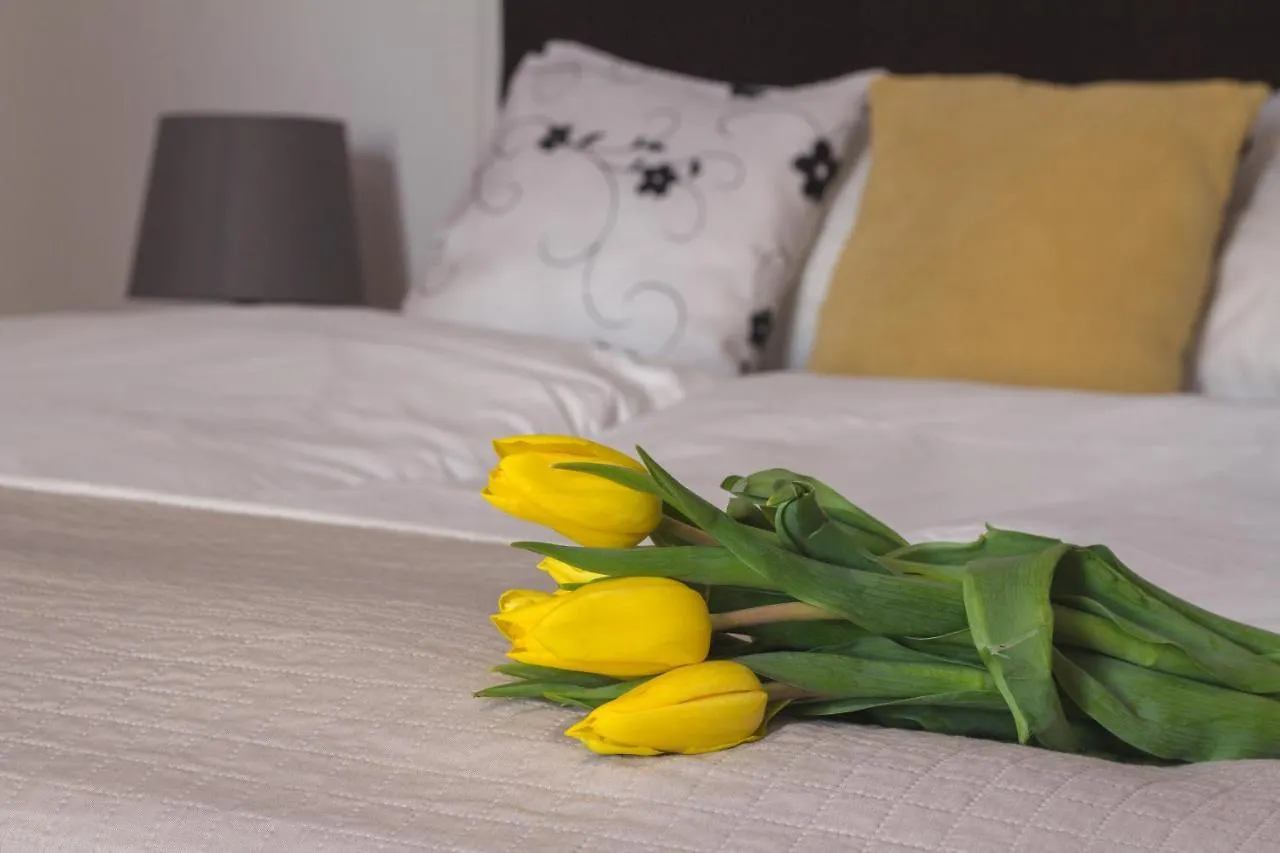 Old Town Apartments Cracovia